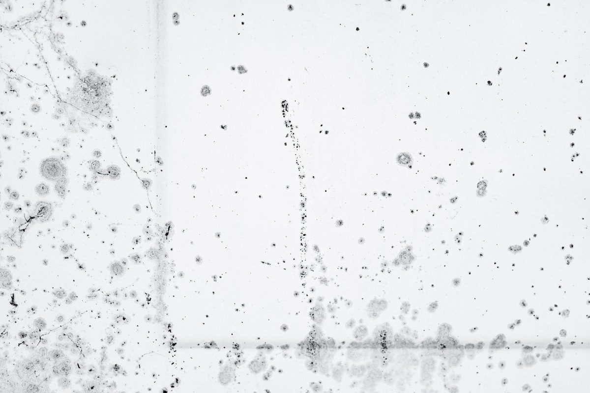 Dark mold spotting concentrated on a wall surface